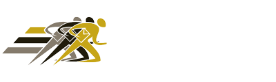 Legal Courier Service | Deadline Couriers Logo